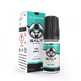 Ice Mint Salt E Vapor 10ml