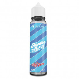 Menthe Fraiche Wpuff Flavors Liquideo 50ml 00mg
