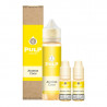 Pack 40ml + 2x10ml Ananas Coco Pulp - 06mg