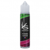 Pomme Cassis Vapostore 50ml