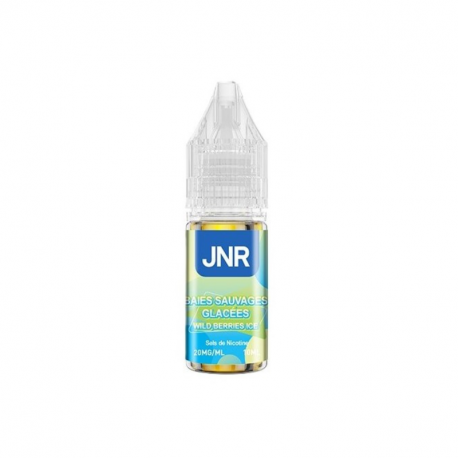 Wild Berries Ice Nic Salts JNR 10ml