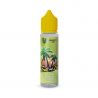 Ananas Mangue Citron Vert Fruits And Fun Vape Institut & Biarritz Lab 50ml