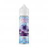 Raisin Cassis Chill Ice LP Vapor 50ml