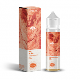 Iroko Canopée Curieux 50ml